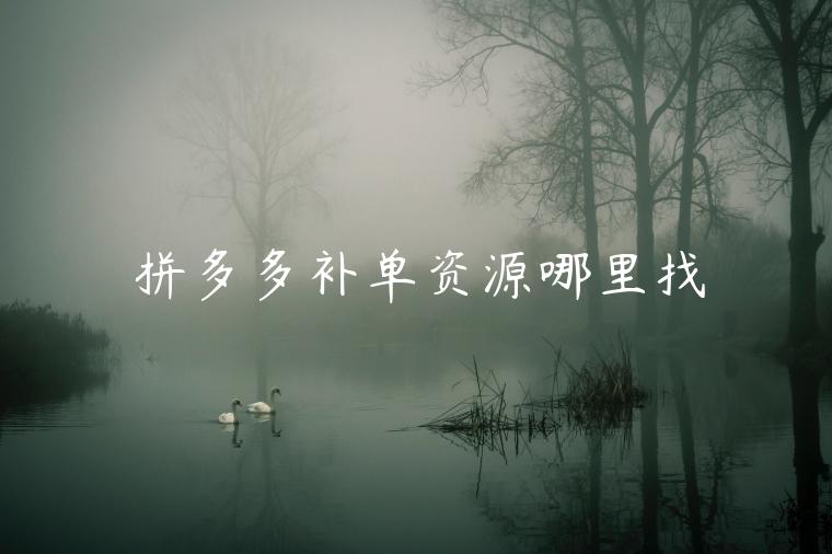 拼多多補(bǔ)單資源哪里找